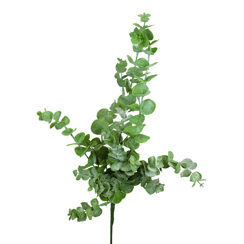Fresh Touch Eucalyptus Bush