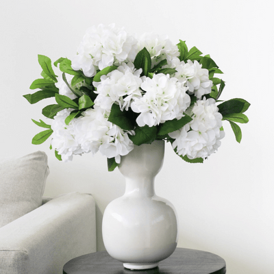 White Hydrangea Bush