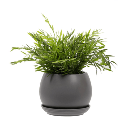 Grey Dario Planter