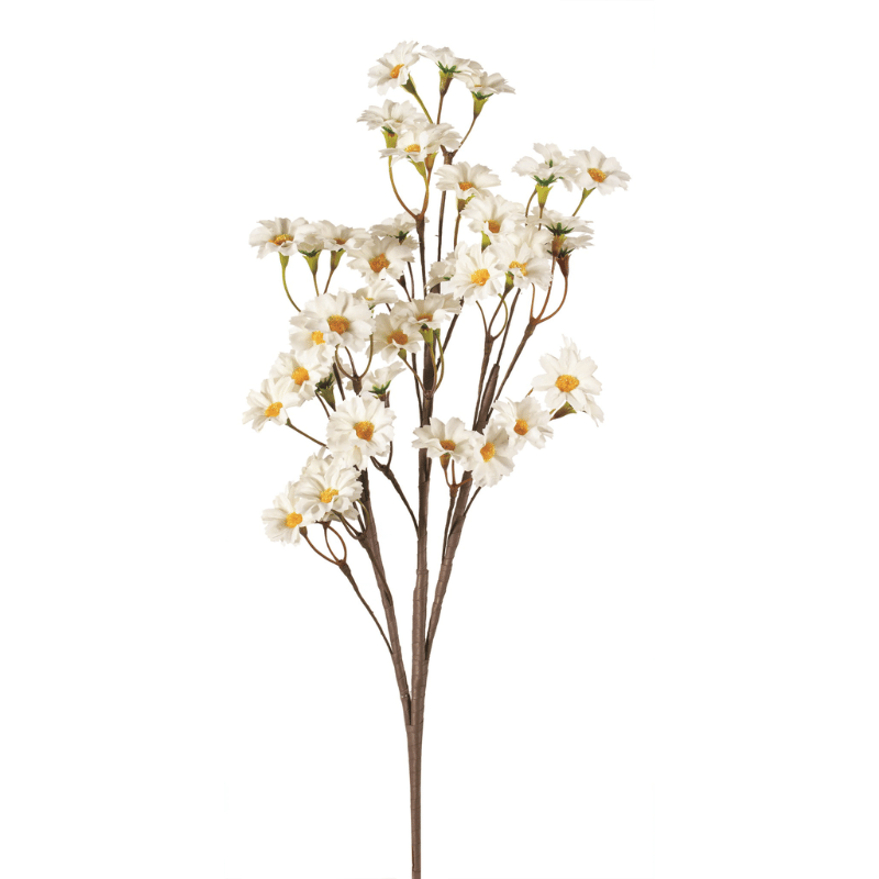 White Daisy Bundle