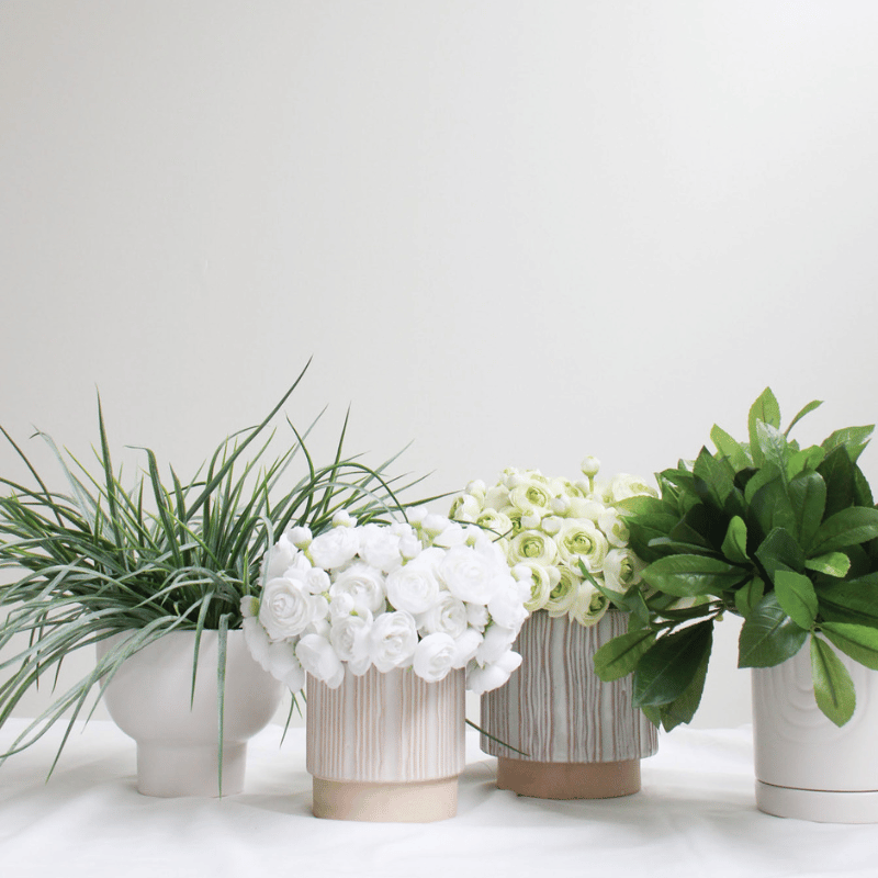 White Ranunculus Flower Bundle