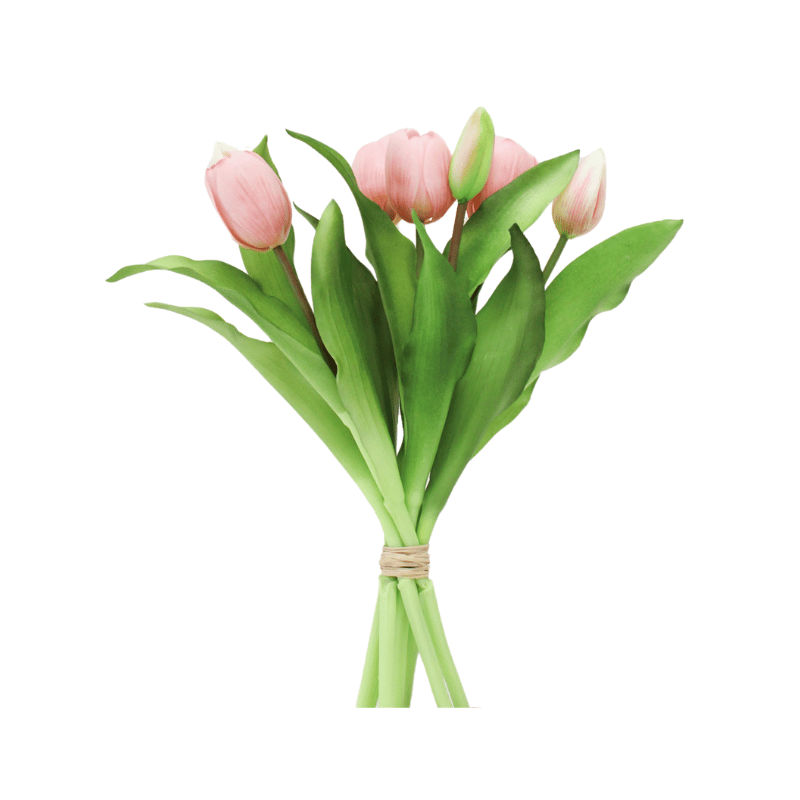 Fresh Touch Pink Tulip Bundle