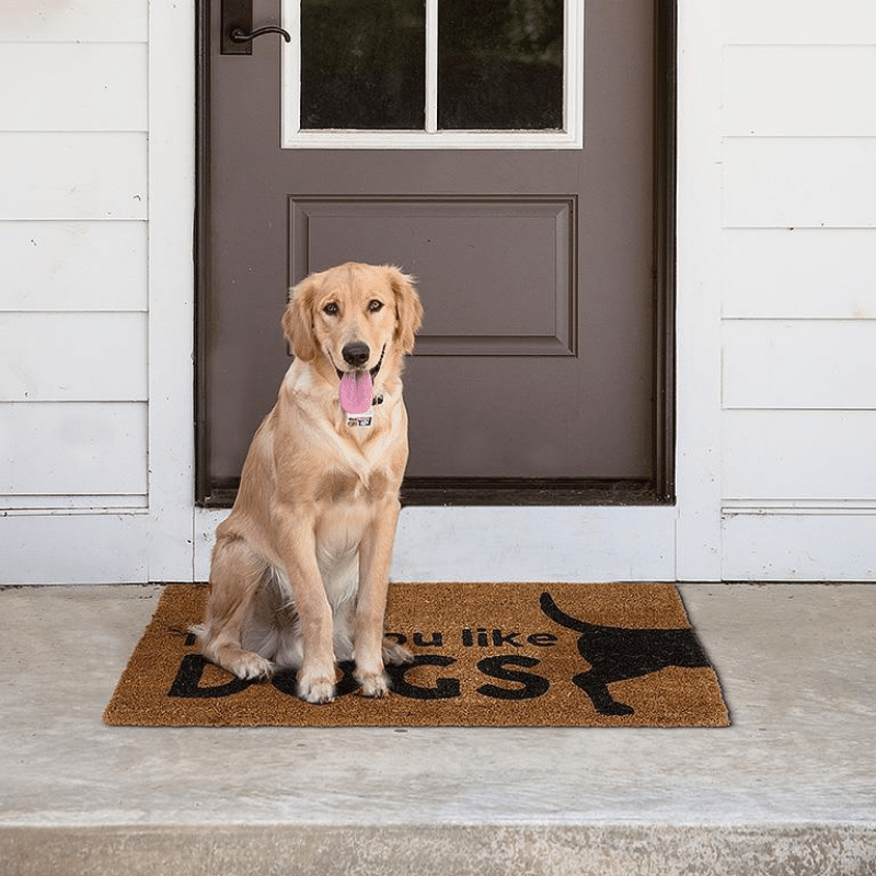 Hope You Like Dogs Door Mat Wyrth Home