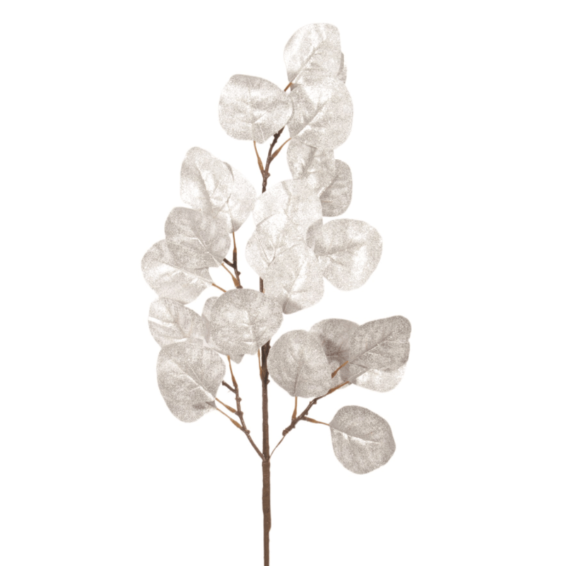 Silver Eucalyptus Leaves
