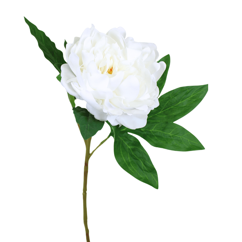Cream Fresh Touch Peony Stem