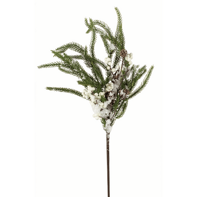 Norfolk White Berry Spray