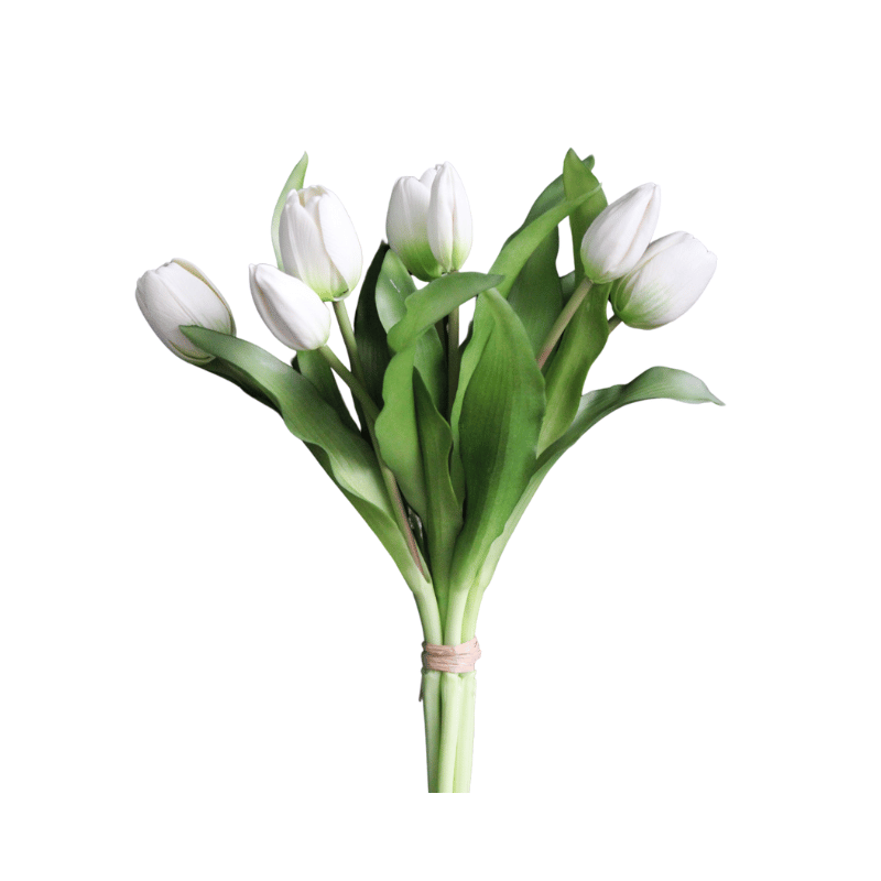 Fresh Touch White Tulip Bundle