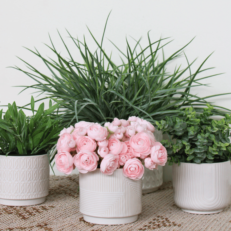 Line Textured Macey Planter