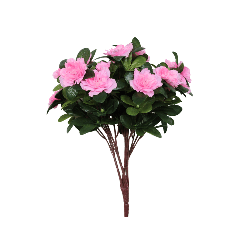 Pink Azalea Bush
