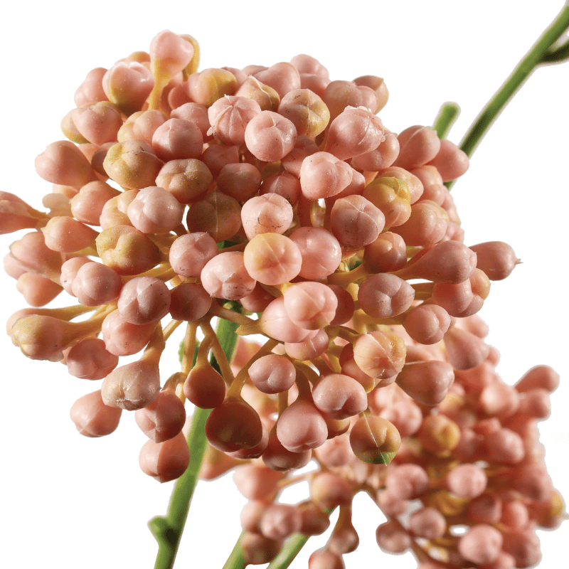 Pink Berry Bunch