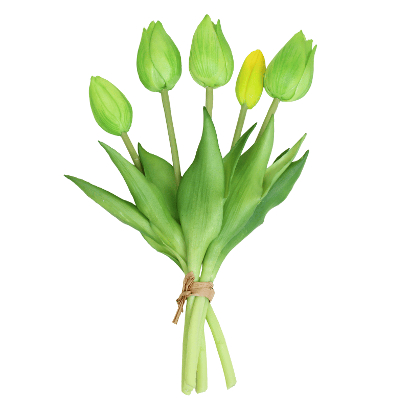 Green Fresh Touch Mini Wild Tulip Bundle