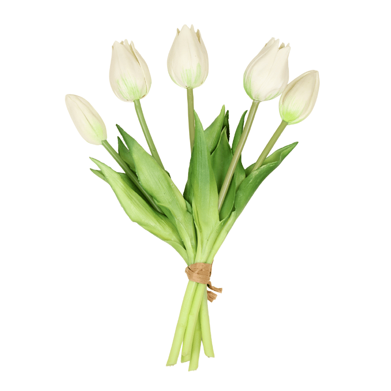 White Fresh Touch Mini Wild Tulip Bundle