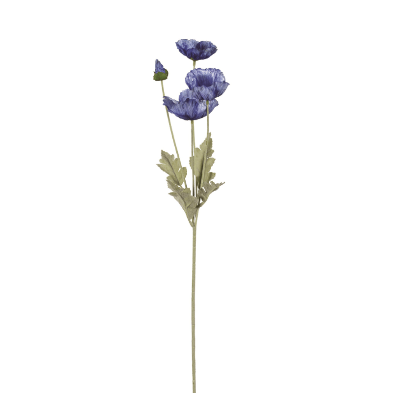 Blue Poppy Spray