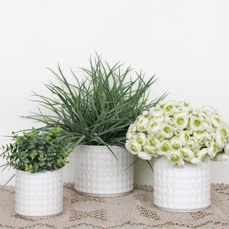 Large White Alto Planter