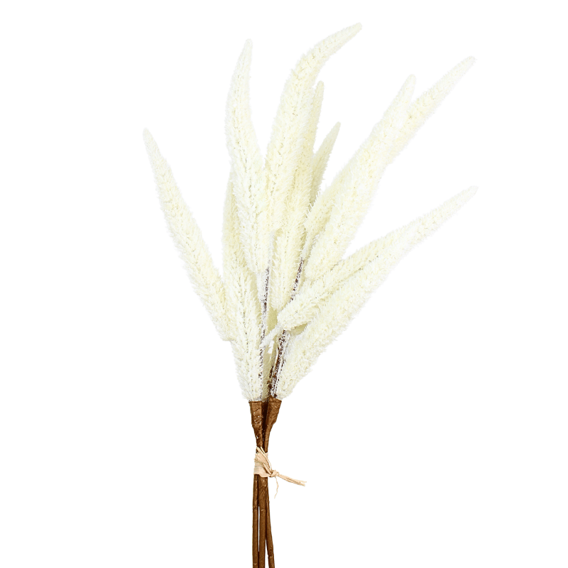 Cream Millet Bundle