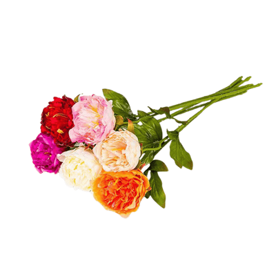 Peach Peony Stem