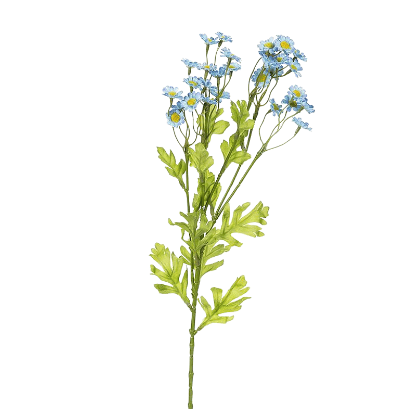 Blue Chamomile Flower Stem