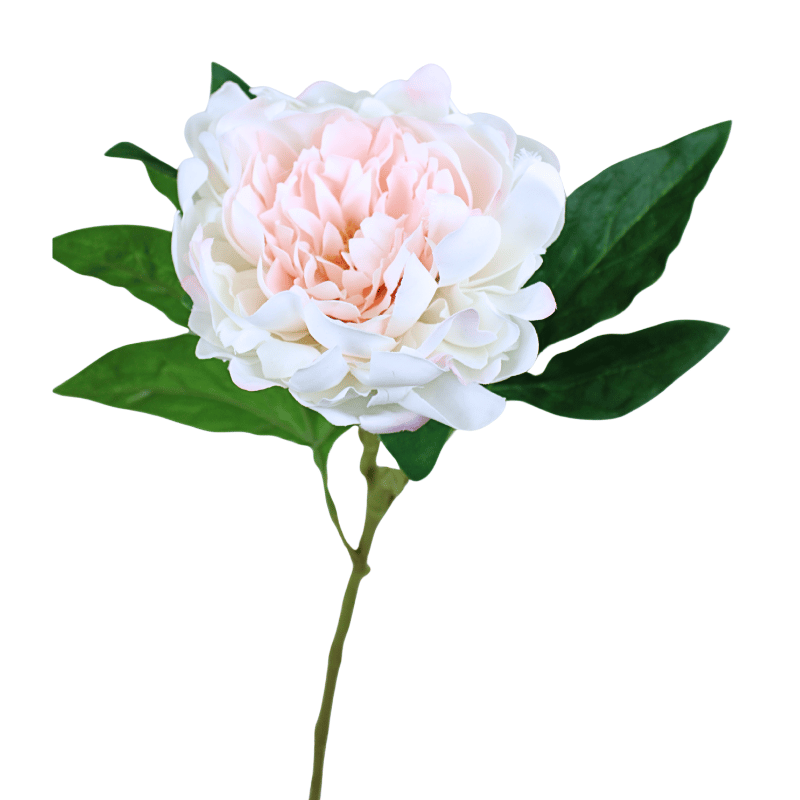 Blush Fresh Touch Peony Stem