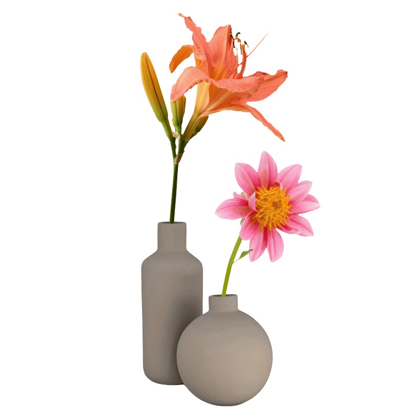 Bulb Bud Vase