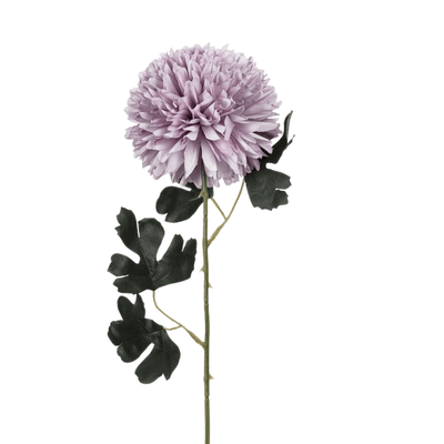 Lavender Chrysanthemum Stem