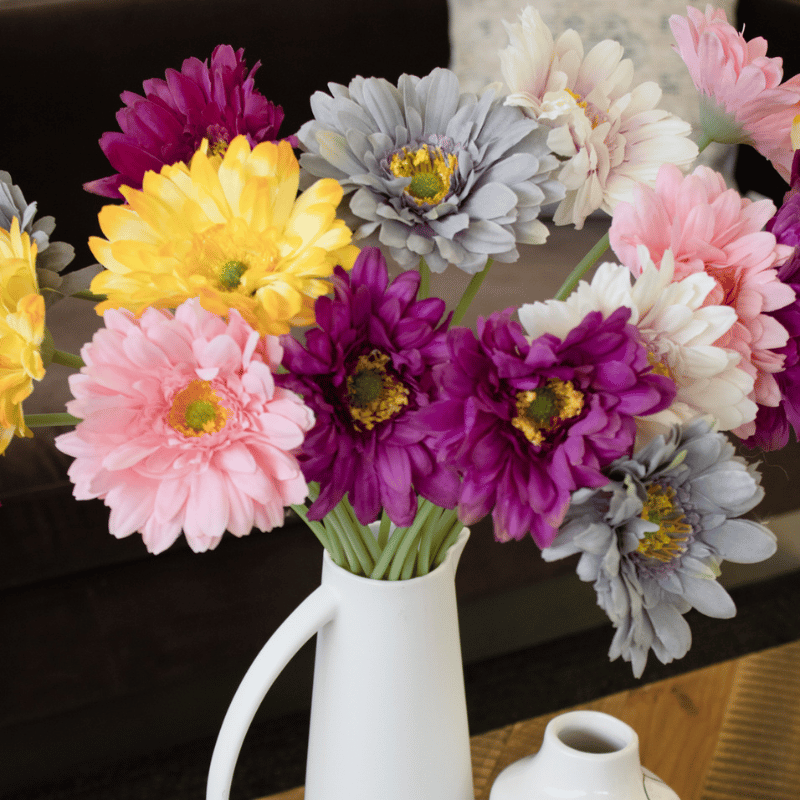 Purple Gerbera Daisy Stem