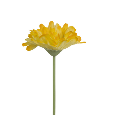 Yellow Gerbera Daisy Stem