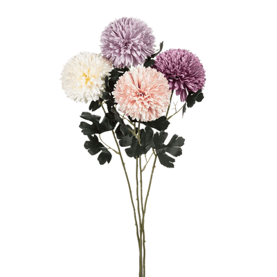 Lavender Chrysanthemum Stem