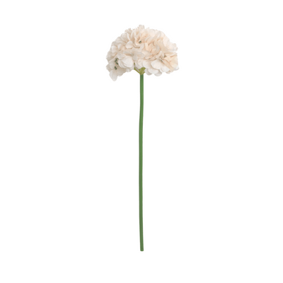 Pink Hydrangea Stem