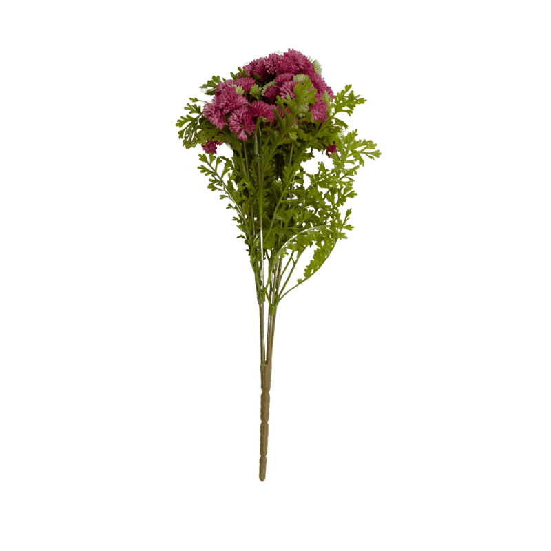 Pink Fresh Touch Sedum Cluster Bush