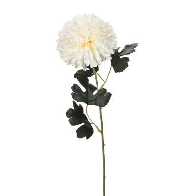 White Chrysanthemum Stem