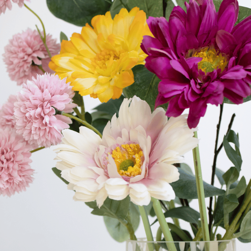 White Gerbera Daisy Stem